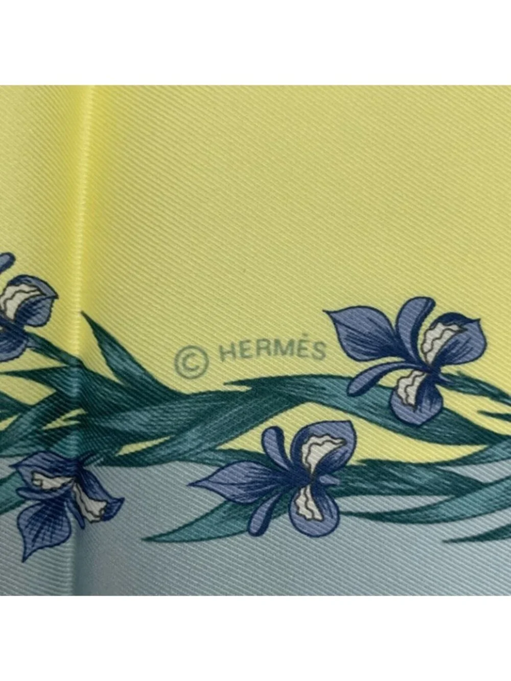 Hermes Hd'origny Blooming Horse Silk Scarf Multicolor